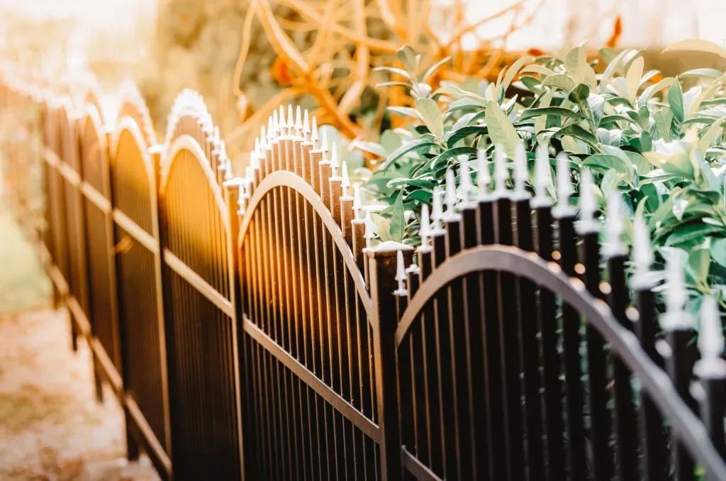 Ornamental metal fence with pointed tops, lined with greenery and bathed in warm sunlight.