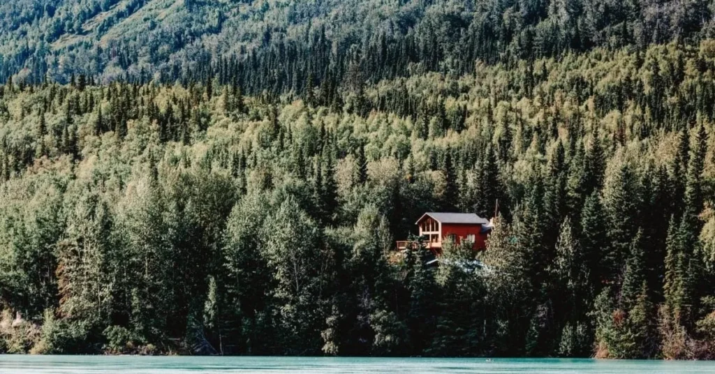 Un chalet en bois perché sur une colline, entouré d'une dense forêt de conifères, offrant une vue imprenable sur la nature.