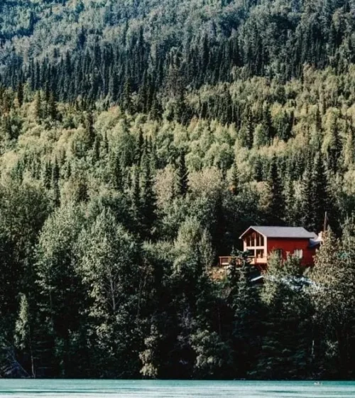 Un chalet en bois perché sur une colline, entouré d'une dense forêt de conifères, offrant une vue imprenable sur la nature.