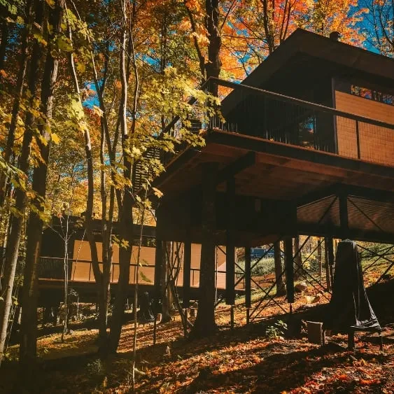 Chalet moderne sur pilotis en acier au milieu d'une forêt dense en automne, avec des feuillages colorés et un environnement naturel.